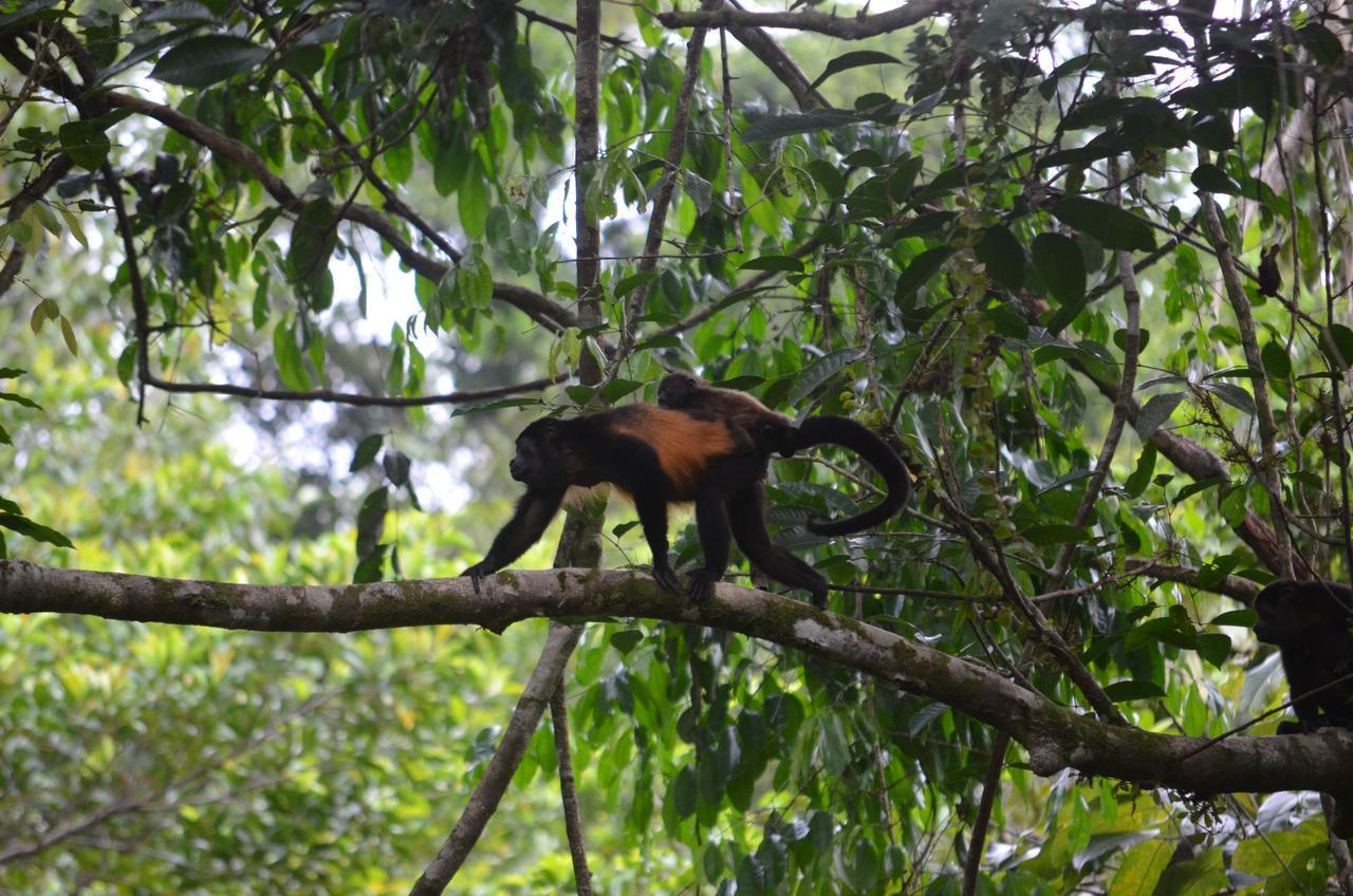 Yaba Chigui Lodge Ojochal